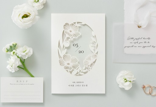 아마릴리스 낮은가격순