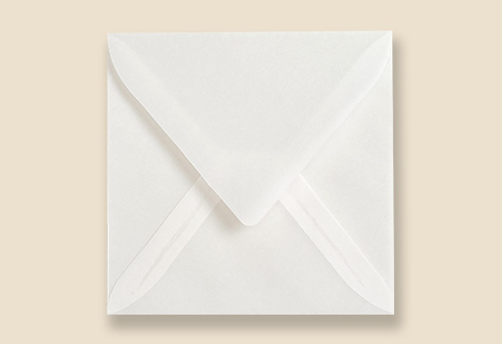 트레싱지봉투 120*120 기본 이미지