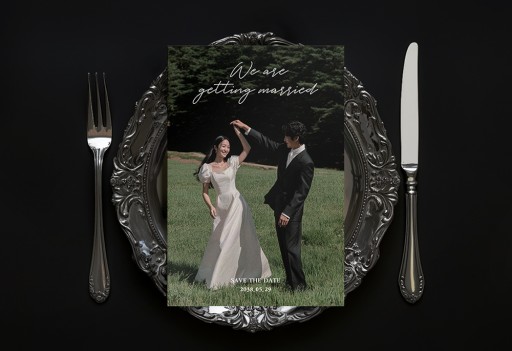 Sun Dance 샘플인기순