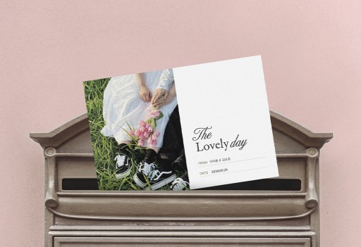 The Lovely Day 샘플인기순